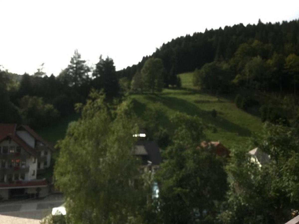 Fewo Mit Pool Haus Enere Au Todtmoos Exterior foto