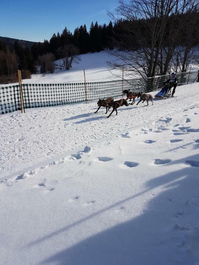 Fewo Mit Pool Haus Enere Au Todtmoos Exterior foto